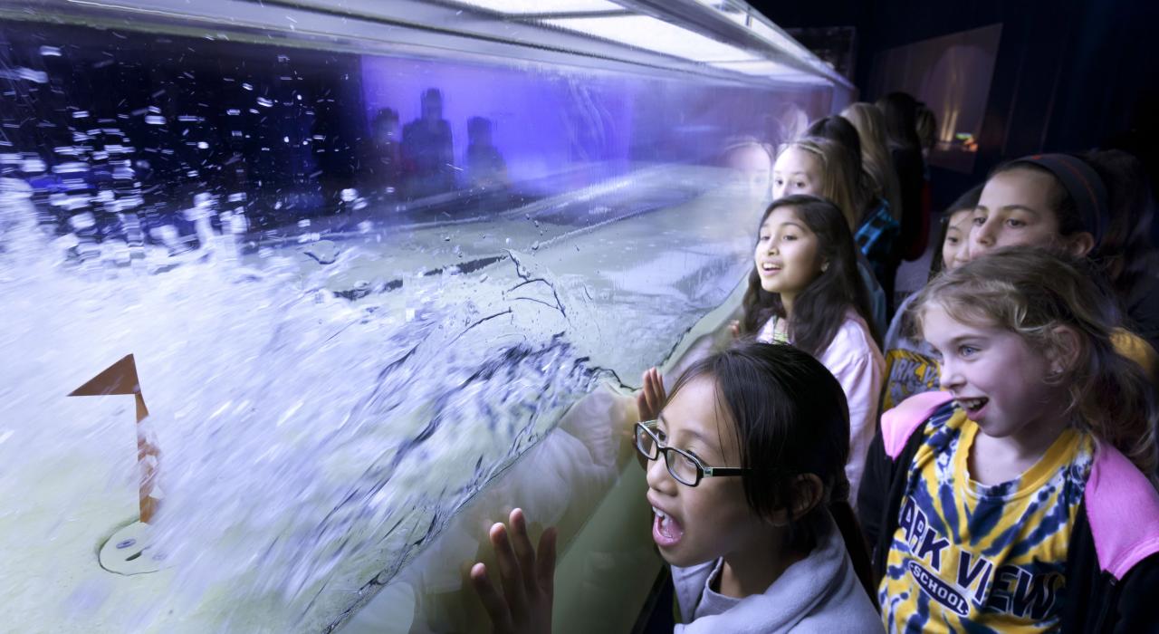 The Tsunami Wave Tank captures the attention of visiting schoolchildren