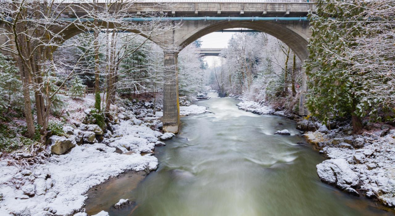 Paisaje nevado en Tumwater Falls