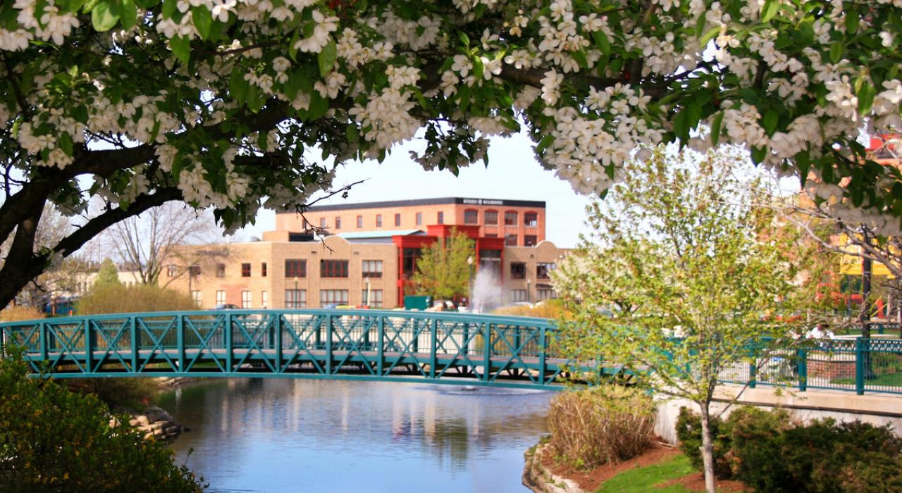 卡拉马祖市中心的阿卡迪亚溪桥的春季美景，繁茂树木让这里生机盎然