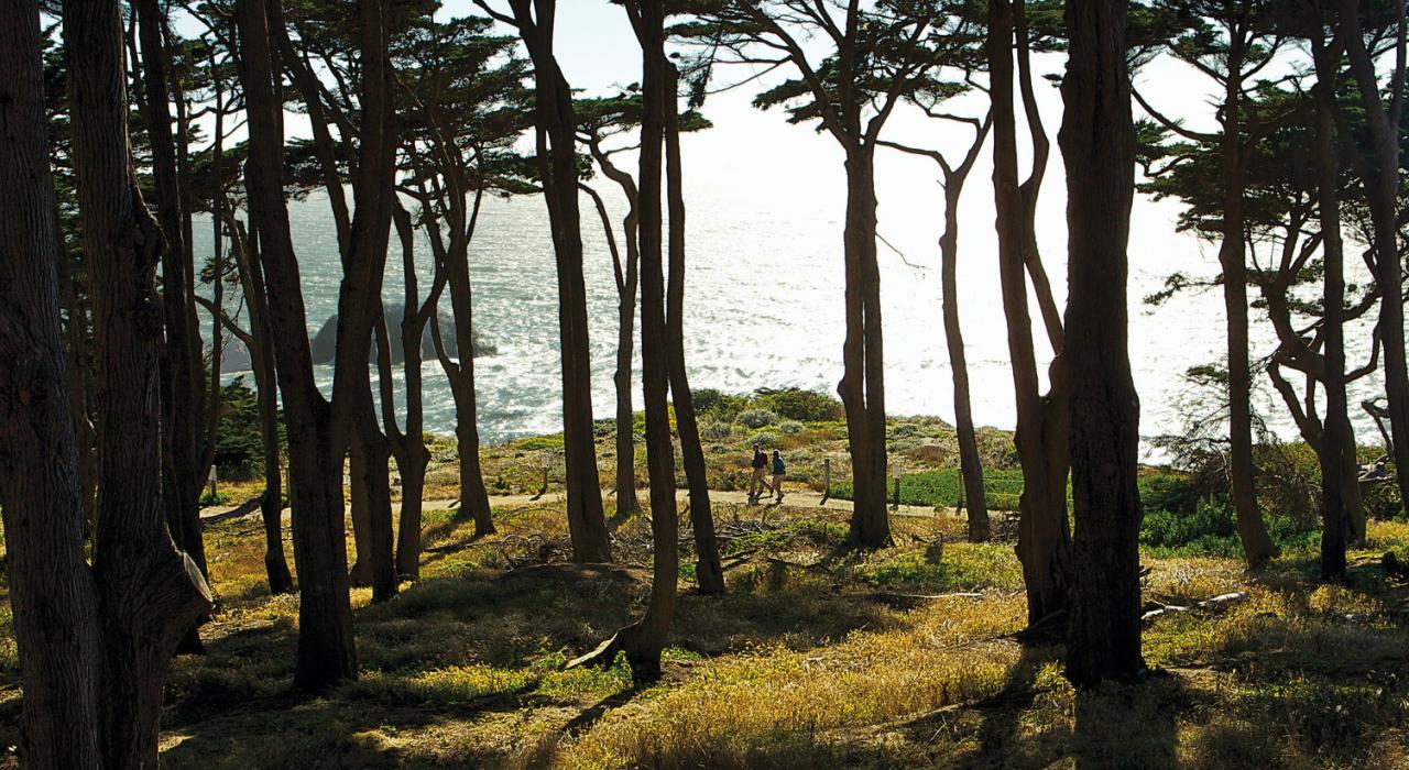 Breezy views of the San Francisco Bay from Land’s End near the Golden Gate