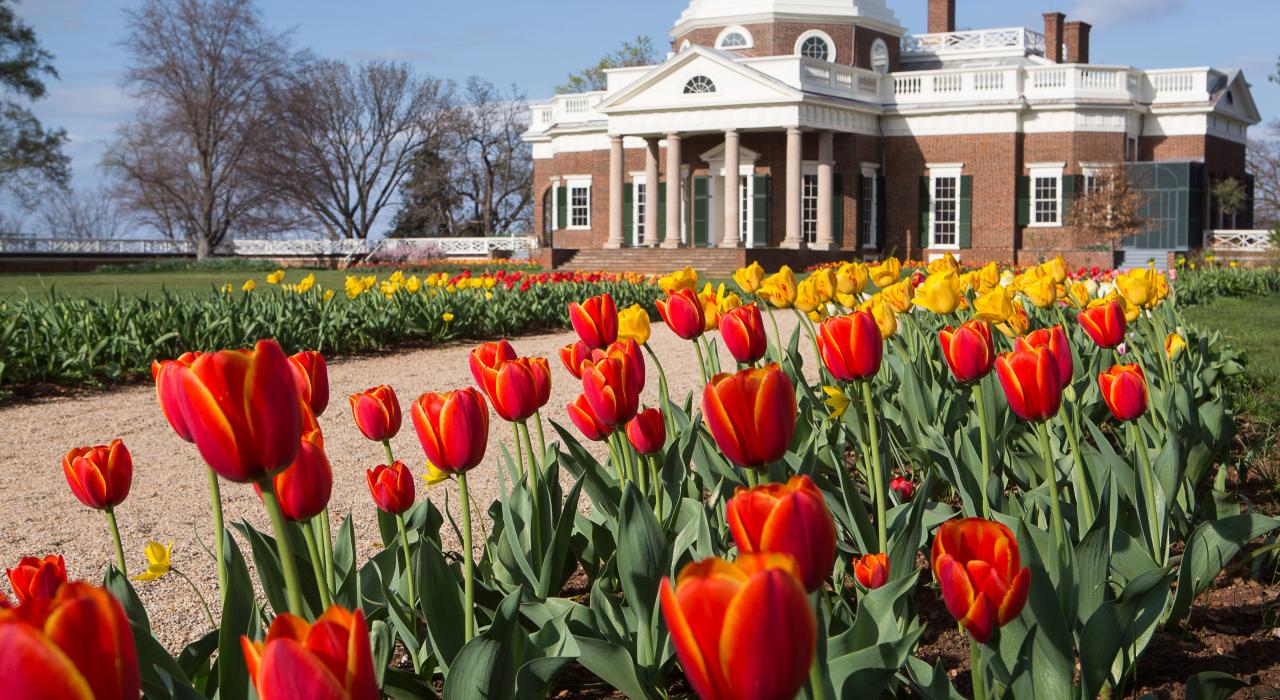 シャーロッツヴィルにあるトーマス・ジェファーソンの邸宅モンティチェロ