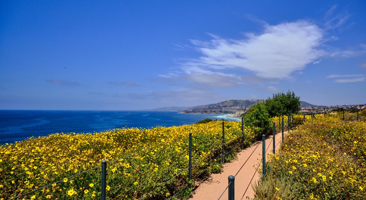 Ein Wanderweg mit Blick auf die Dana Point Headlands Conservation Area