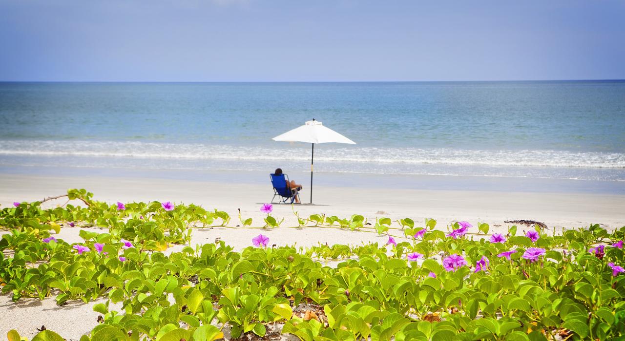 Banhista aproveitando as areias brancas do Avalon State Park