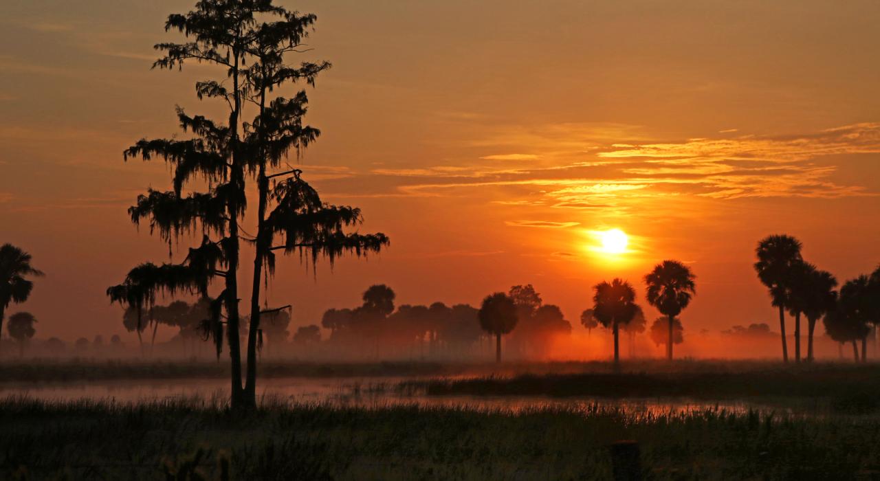 Nascer do sol sobre uma paisagem de ciprestes e palmeiras