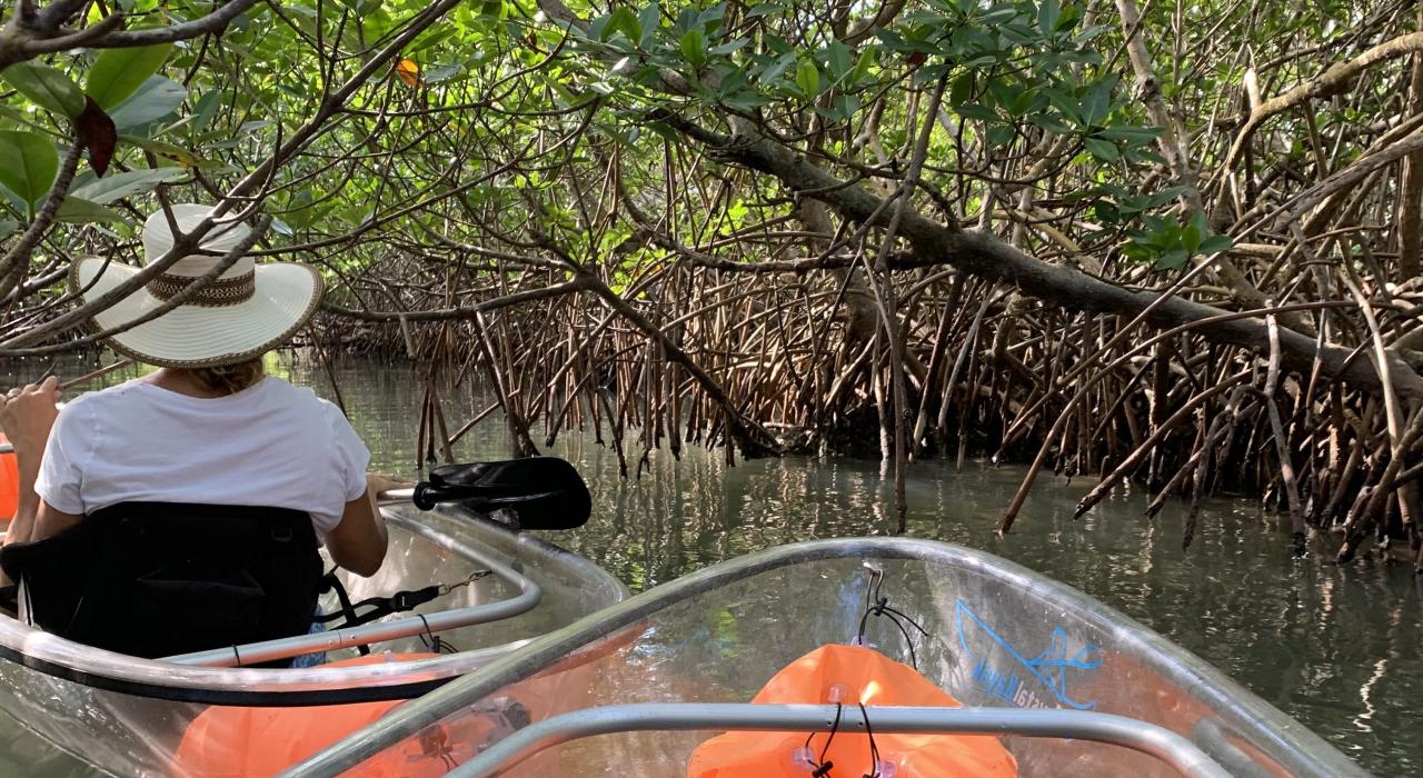 Passeio de caiaque pelos túneis de mangue na lagoa do rio Indian