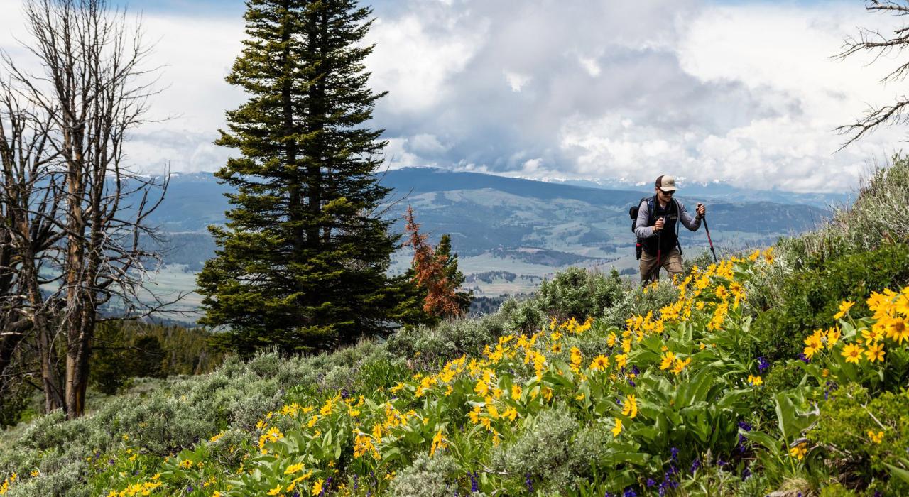 在五彩缤纷的野花中徒步旅行