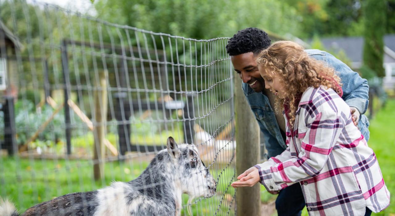 Conociendo animales de granja en Hillsboro