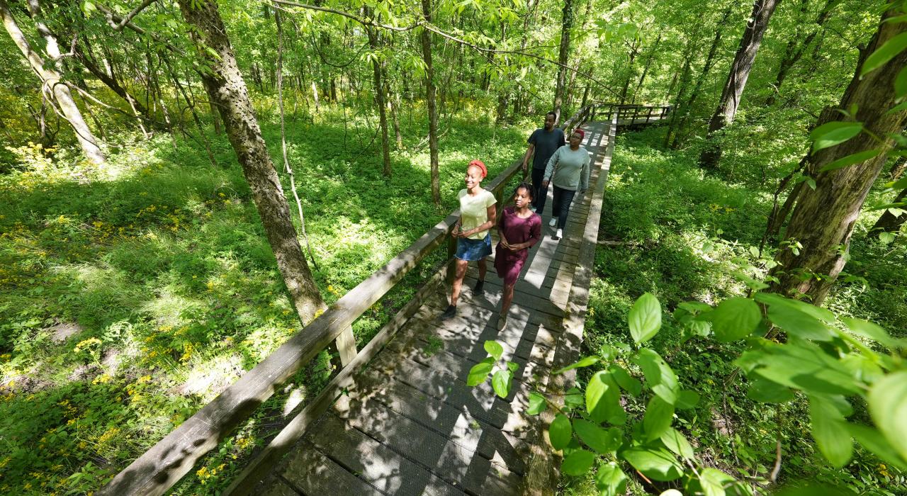 Promenade sur un sentier verdoyant le long de la route Natchez Trace Parkway