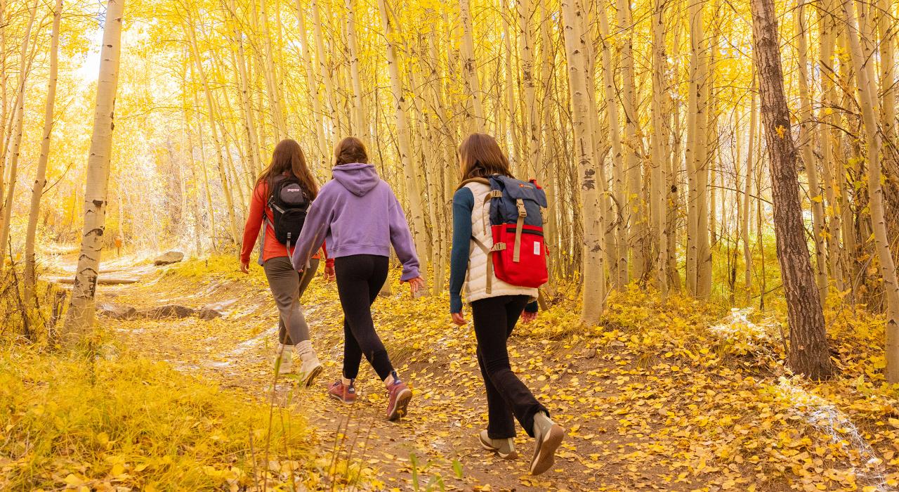 Taking a scenic hike down Mosca Pass Trail