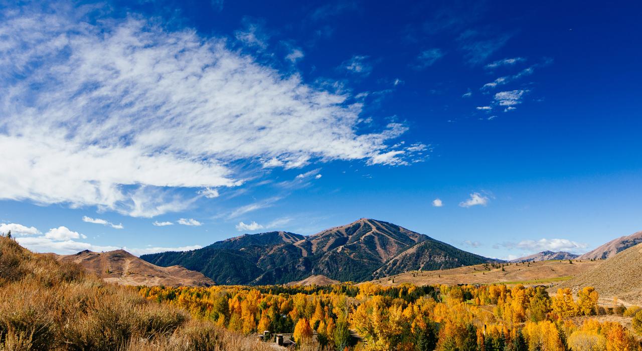 秋色环绕的秃头山