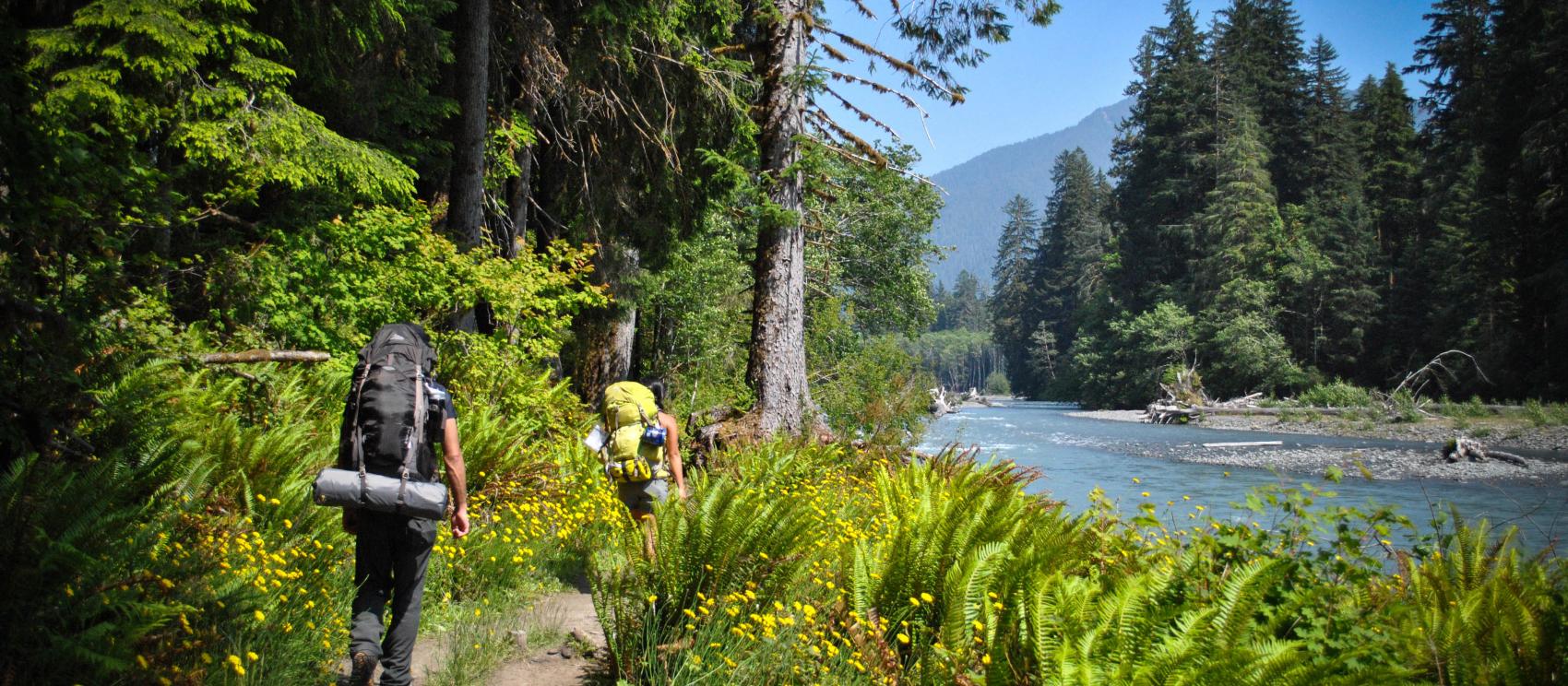 背包客在奥林匹克国家公园沿河畔远足