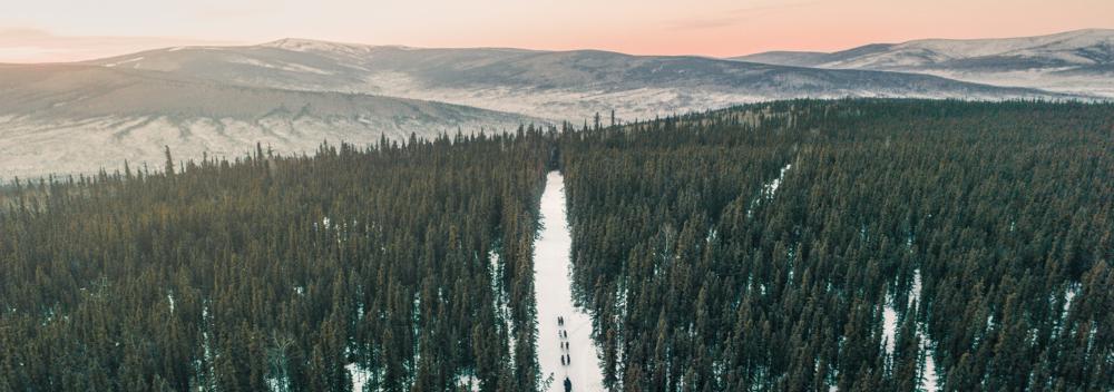 Dog sledding through the Alaskan wilderness
